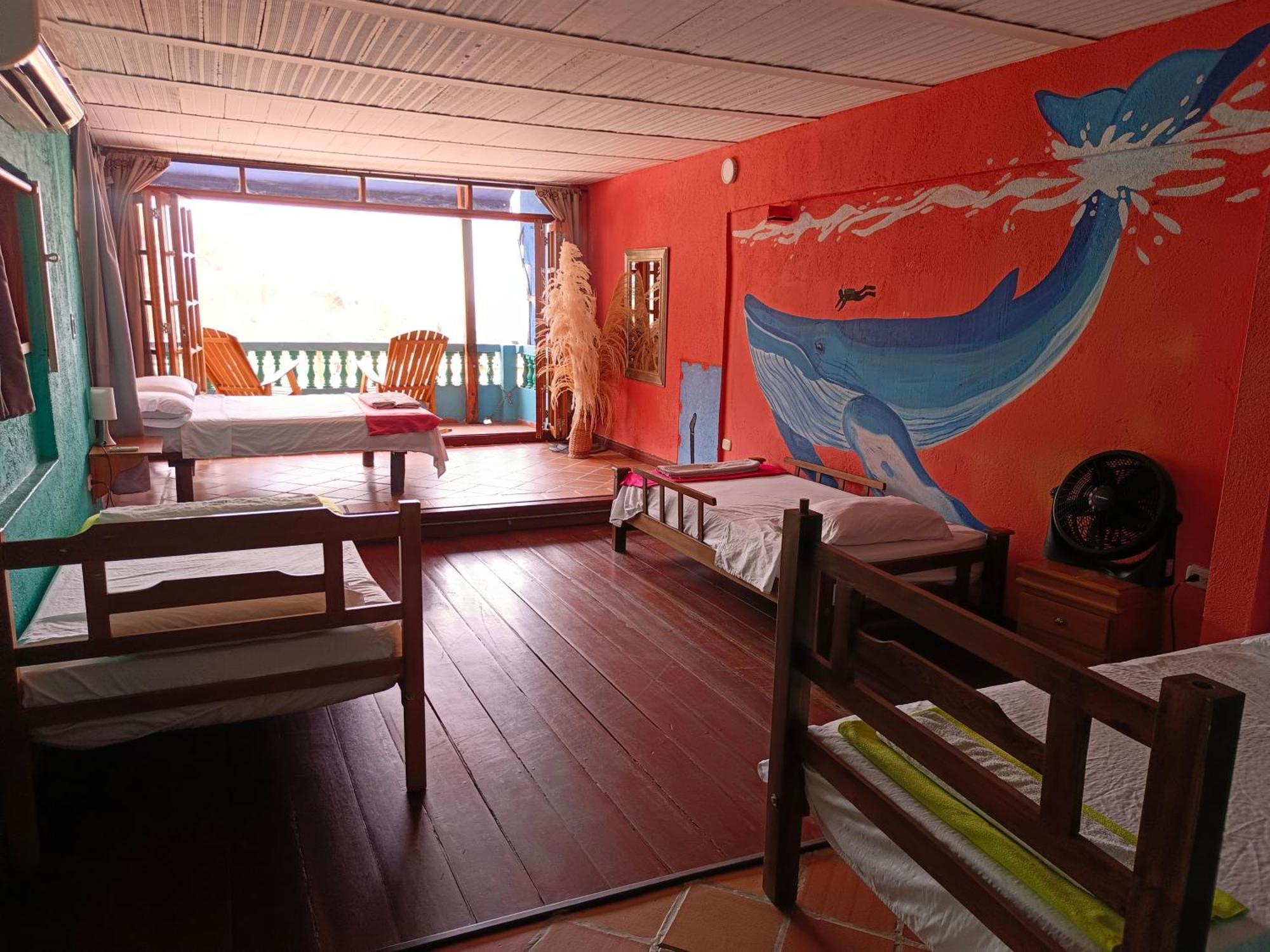 Tayrona Colors Hostel تاجانجا المظهر الخارجي الصورة